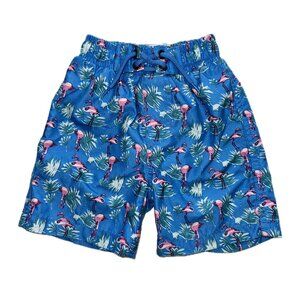 Kids Blue Flamingo Swim Trunks